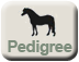 Click here to view Snowman's pedigree.